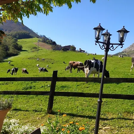 Del Jerreru Holiday home Alea